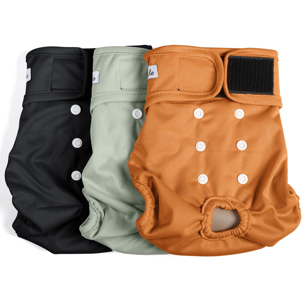 Grecle female dog diapers packaging in brown and black for easy setup and on-the-go protection.