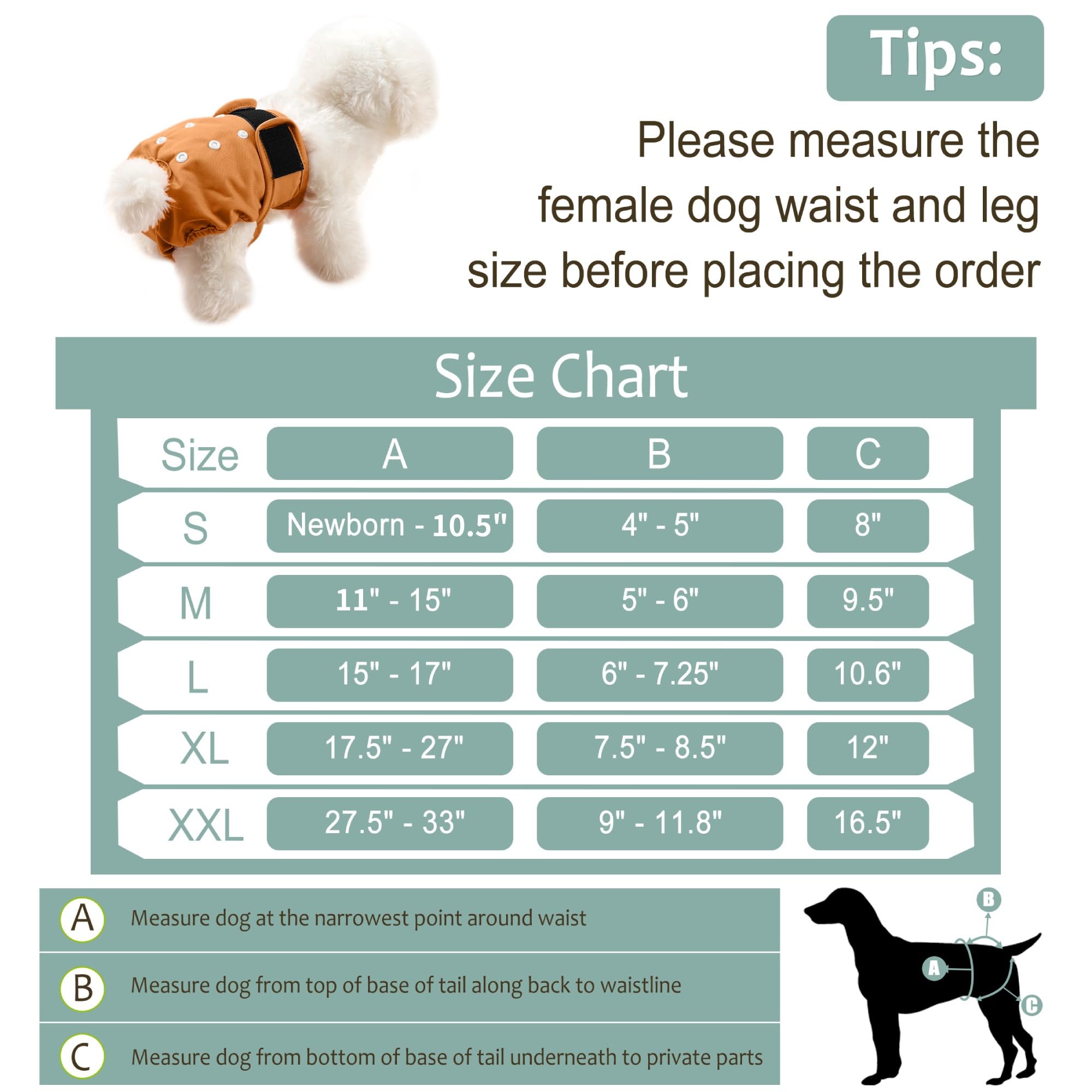Grecle dog diaper featuring bird-eye mesh against skin for comfort