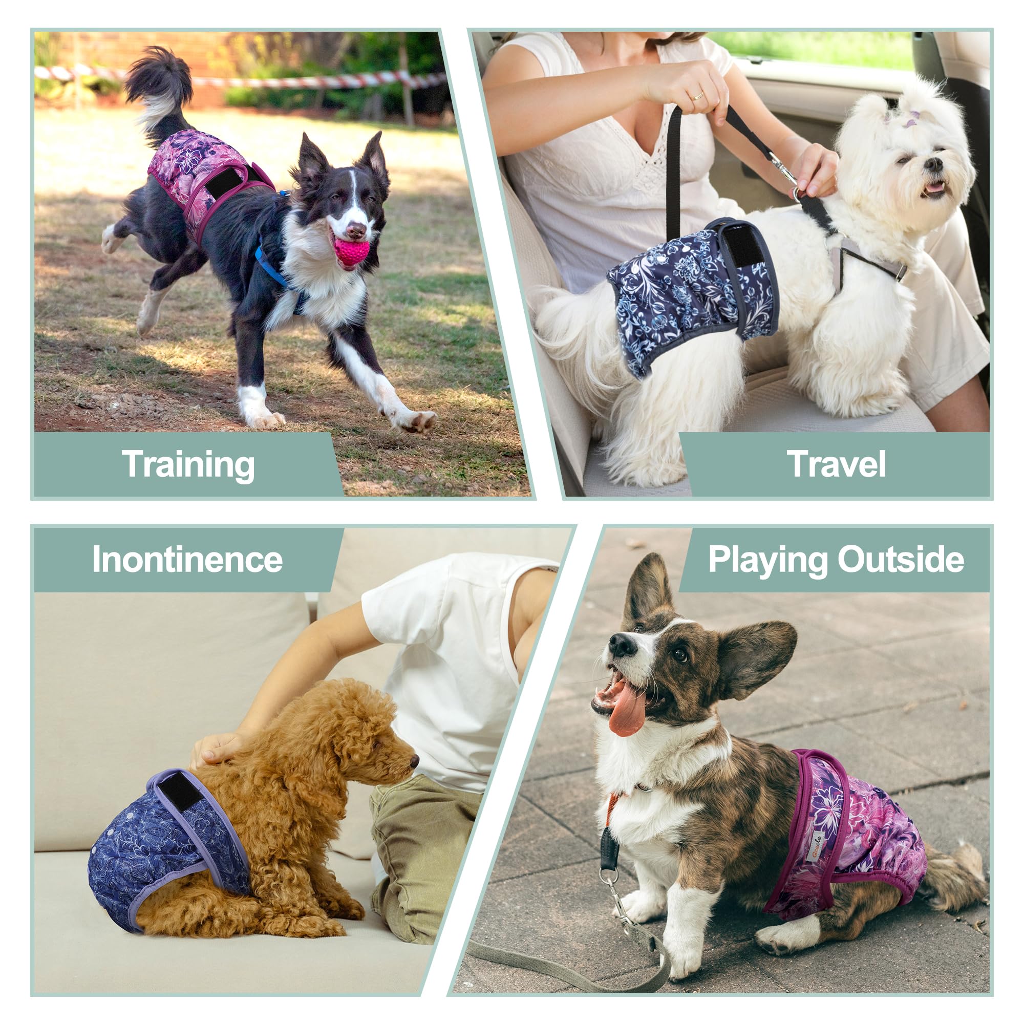 Grecle female dog diapers washable and reusable for durable, eco-conscious care
