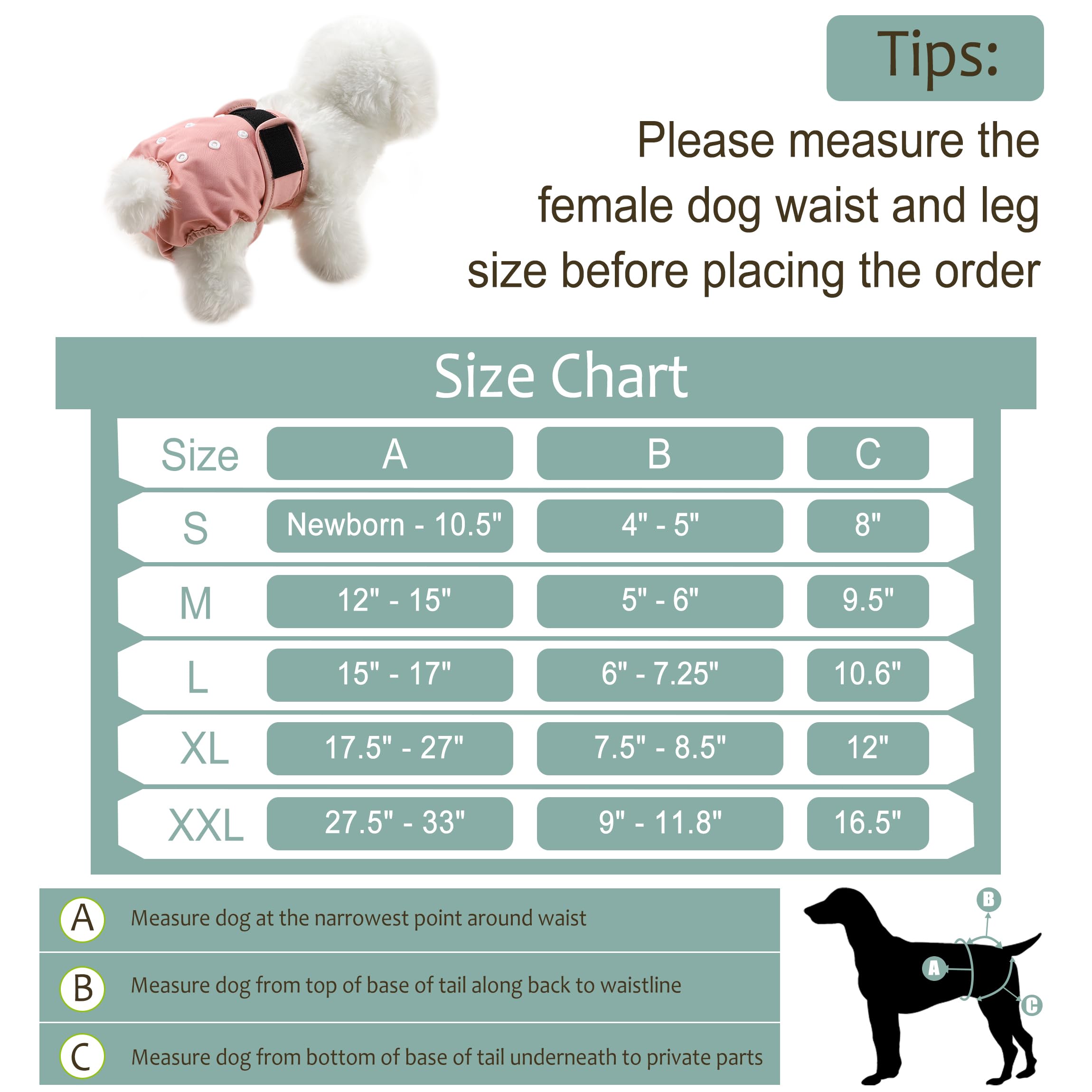 Grecle five-sizes chart helps choose the best fit for various breeds.