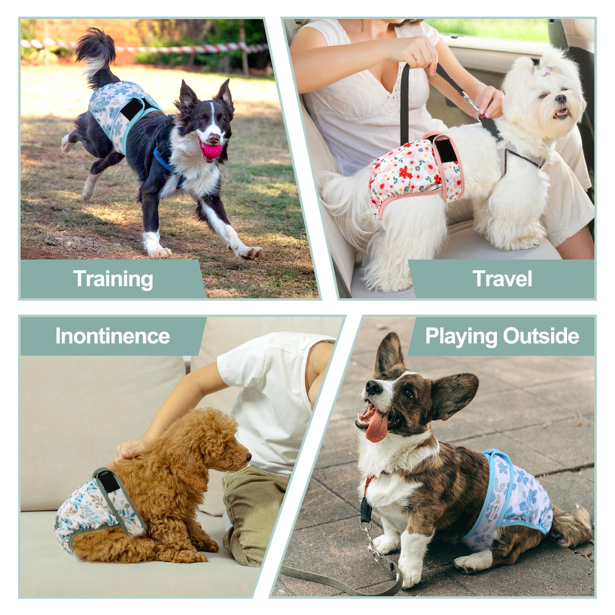 Grecle senior-dogs-use demonstrates gentle protection at home.