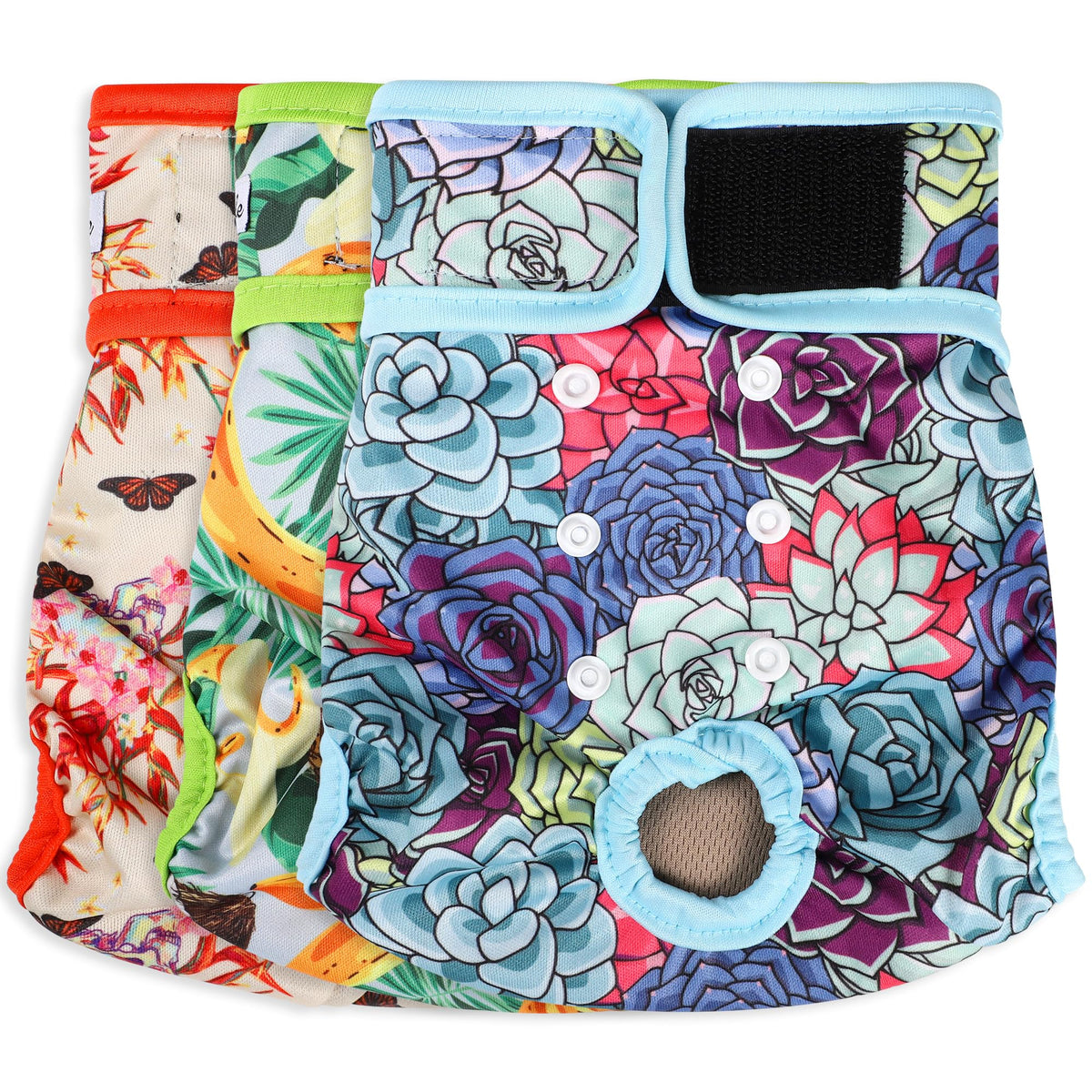 Grecle washable dog diaper succulents XL closeup shows leak-free daytime wear
