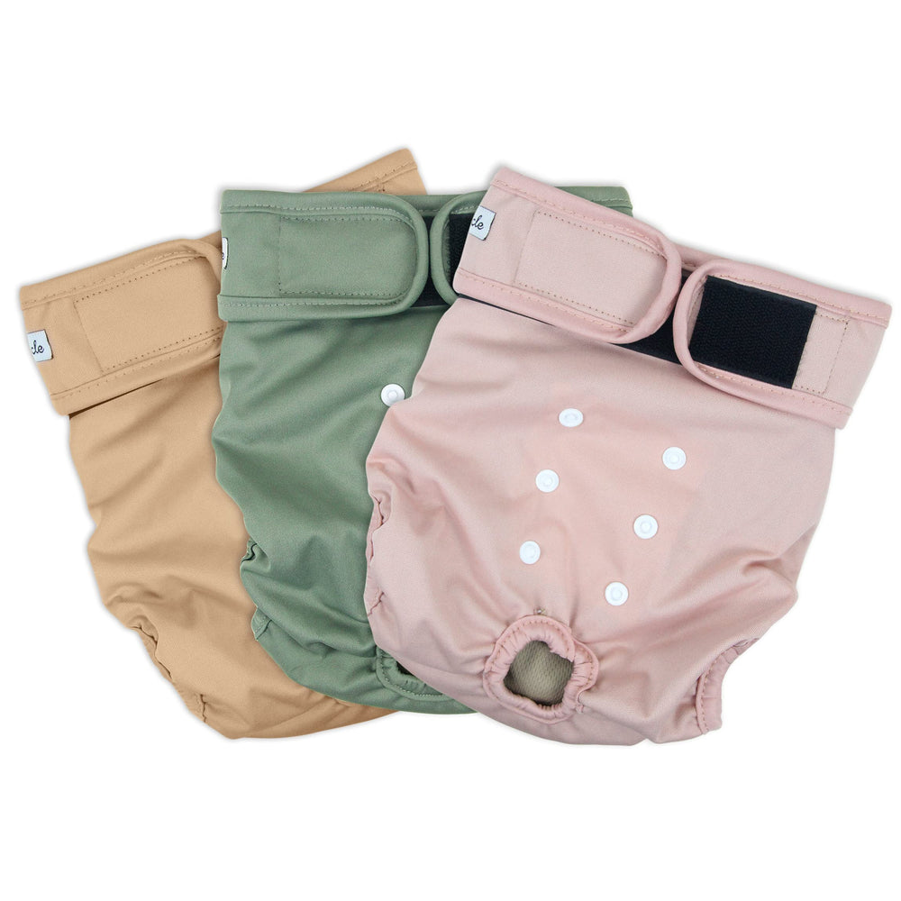 Grecle washable female dog diapers pink being worn demonstrates secure fit for in heat use.