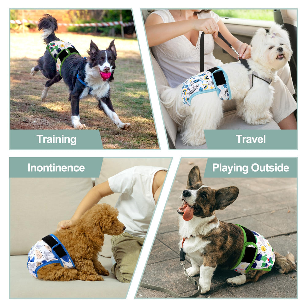 Grecle size chart aids selecting the right fit for varied breeds.