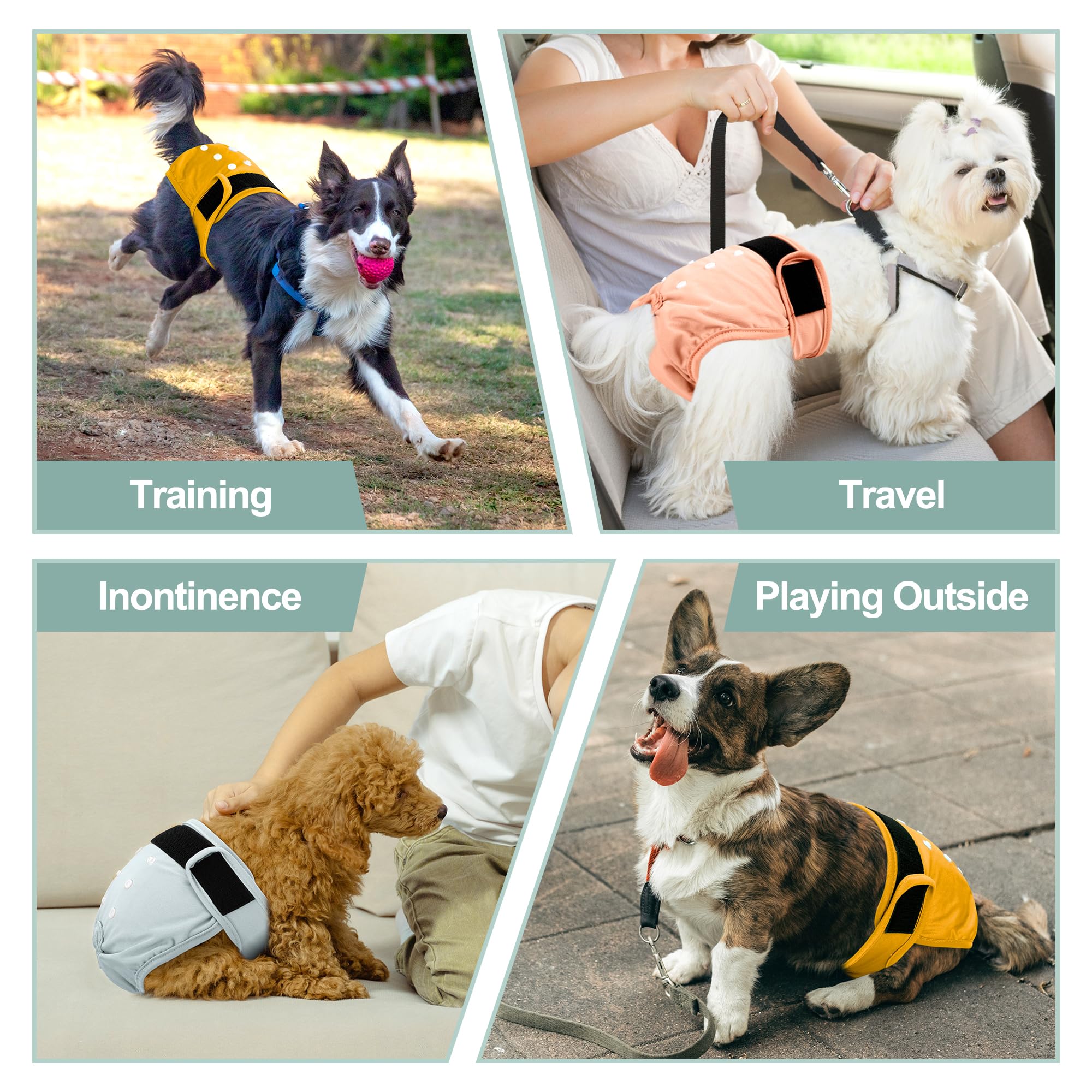 Grecle yellow XXL dog diapers shown for heat and incontinence management.