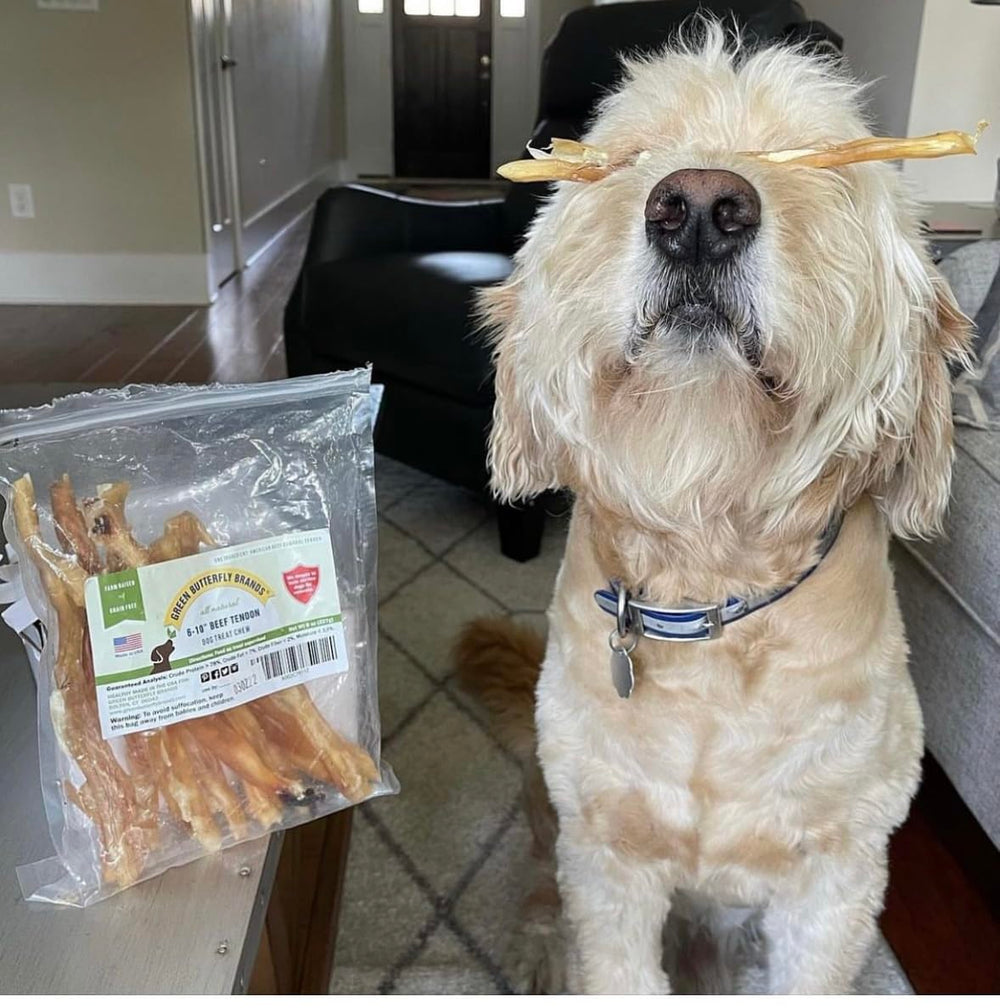 Green Butterfly Brands Beef Tendons 8-ounce pack demonstrates convenient home packaging.