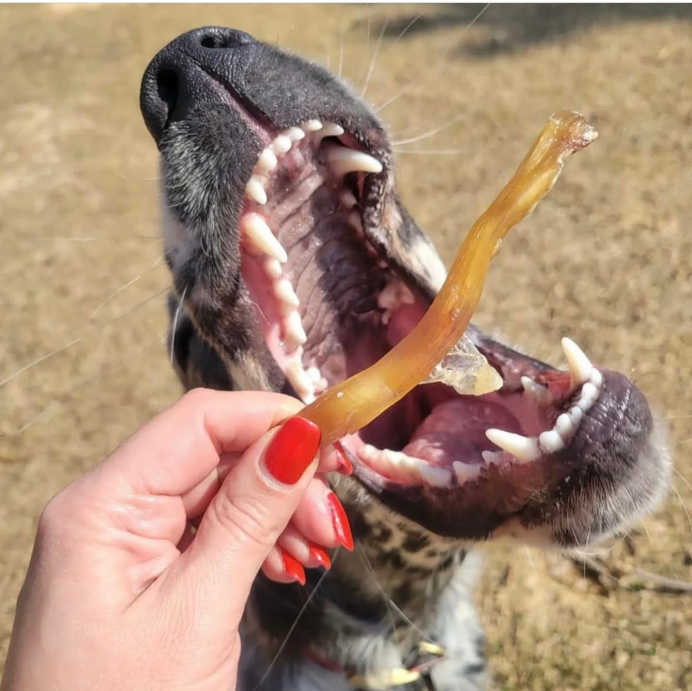 Green Butterfly Brands Beef Tendons donation note highlights support for veterans.