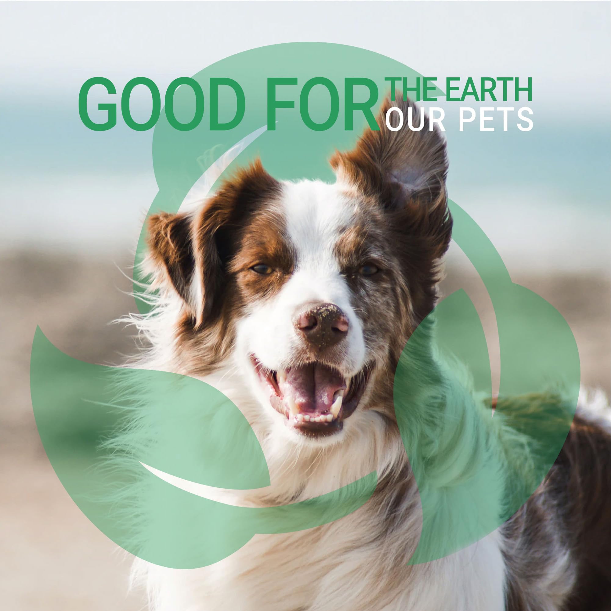 GreenGroom Green Clean Dog Shampoo one-gallon packaging supports bulk grooming sessions