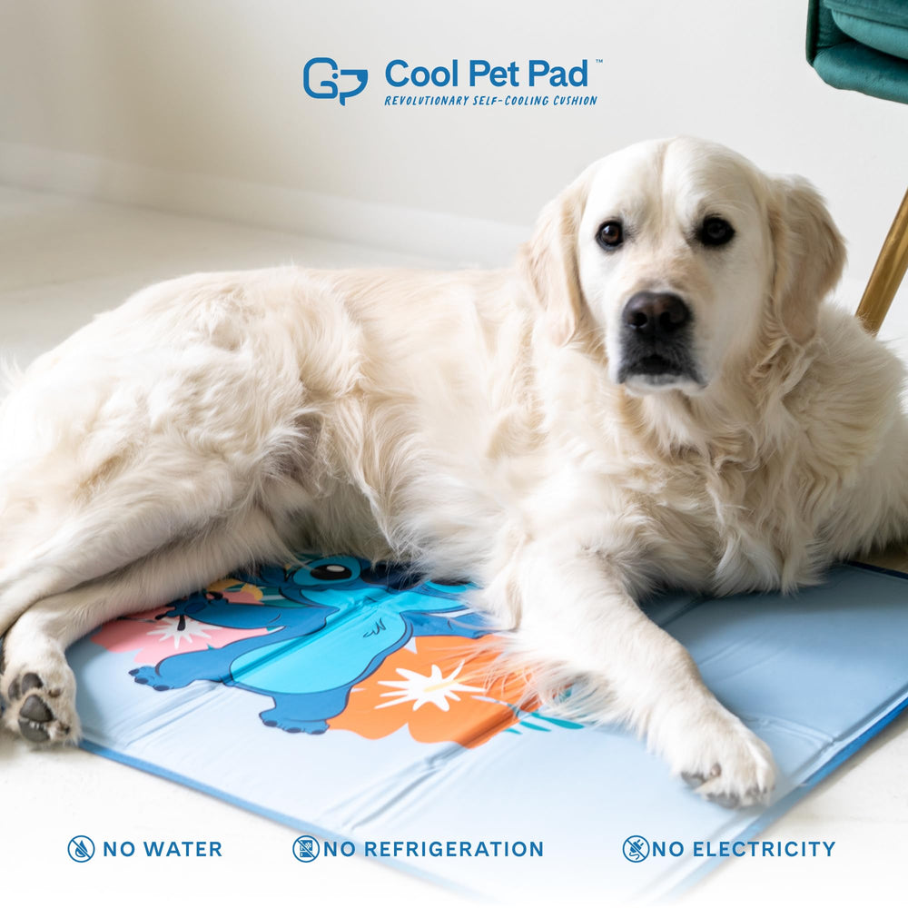 Green Pet Shop crate or bed placement offers cool comfort anywhere.