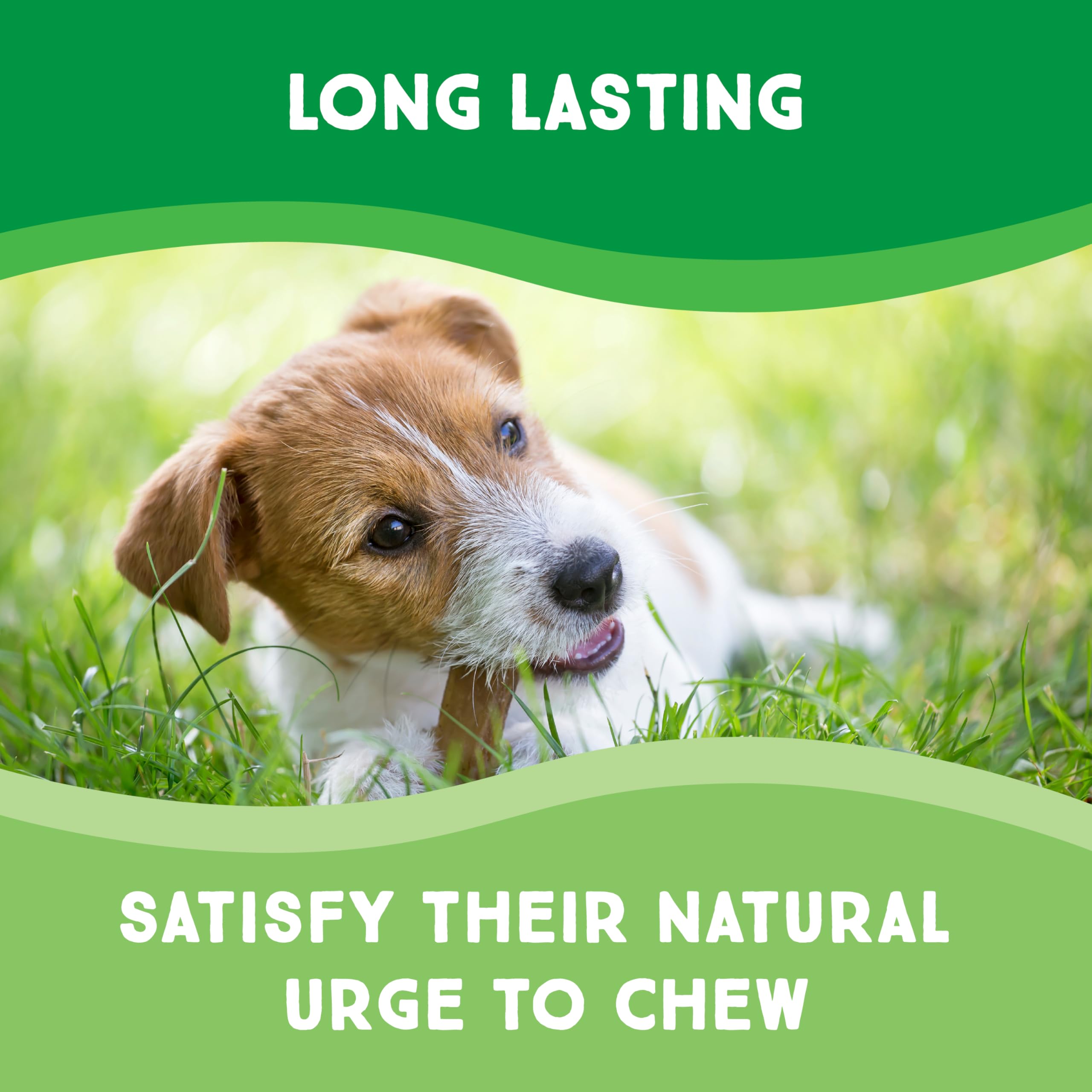 GreenCow Rawhide Chips bulk packaging emphasizes value for multi-pet households