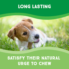 GreenCow Rawhide Chips bulk packaging emphasizes value for multi-pet households