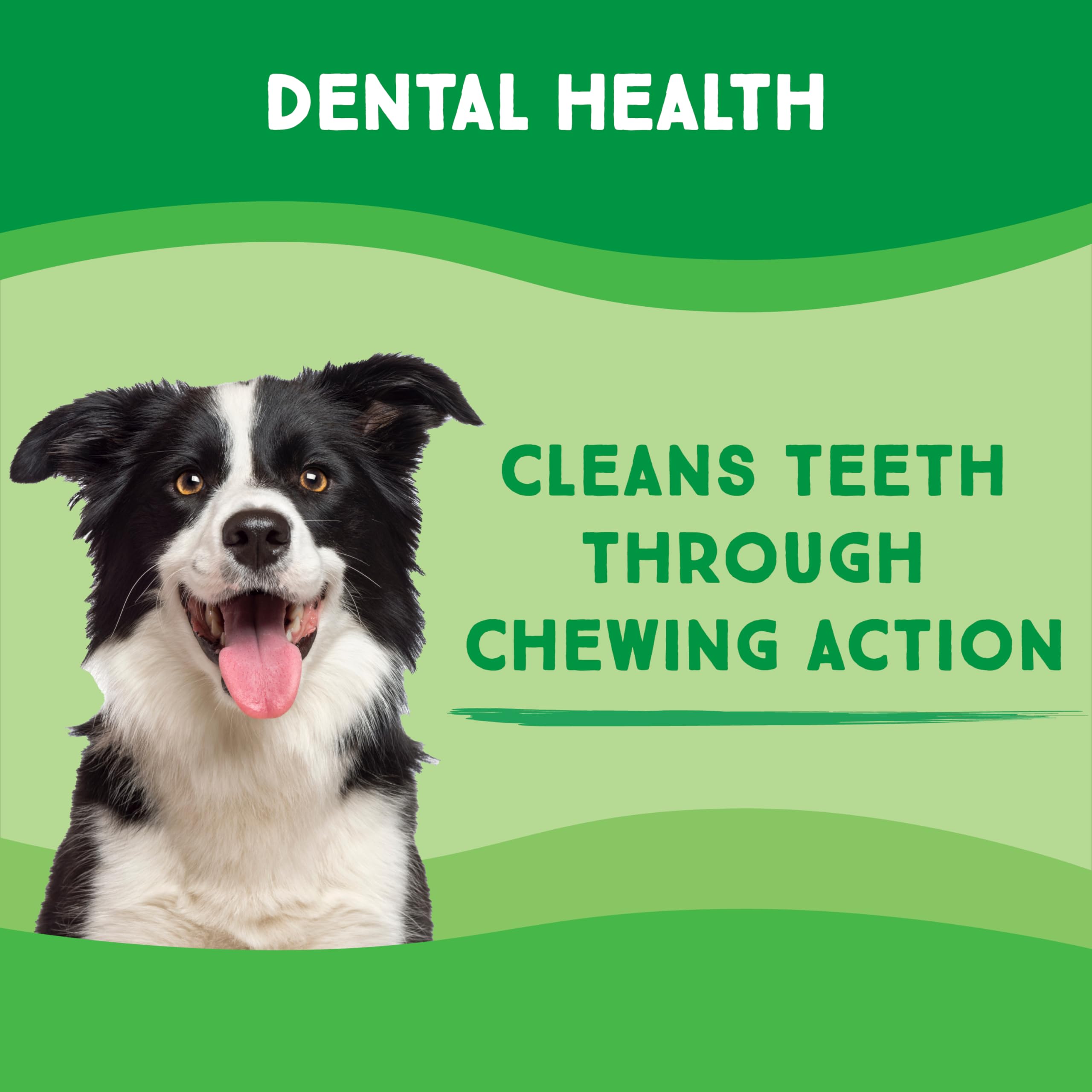 GreenCow Rawhide Chips dog chewing large dog demonstrates long-lasting entertainment