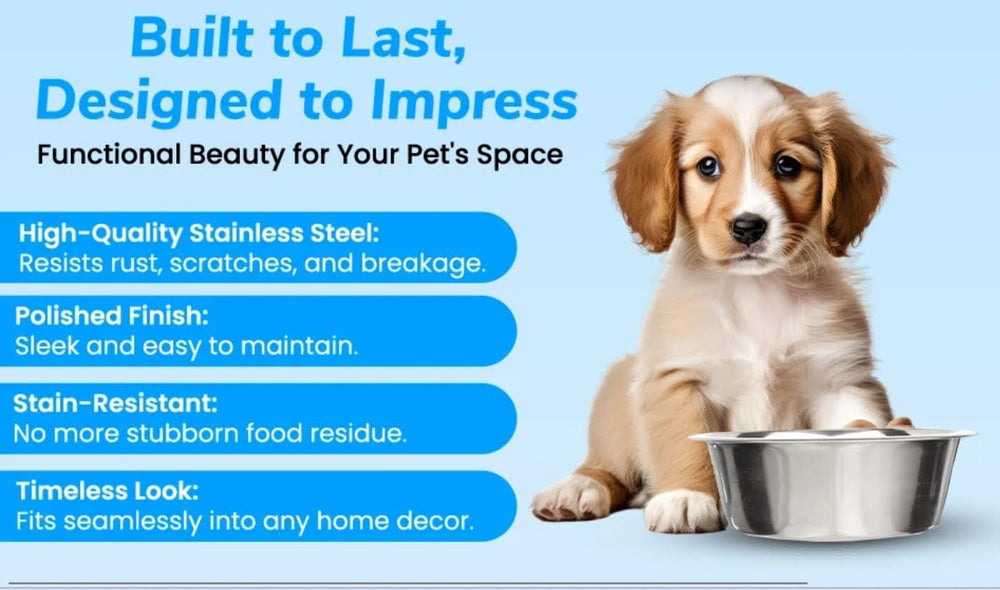Greendale dishwasher-safe dog bowls simplify cleanup after meals
