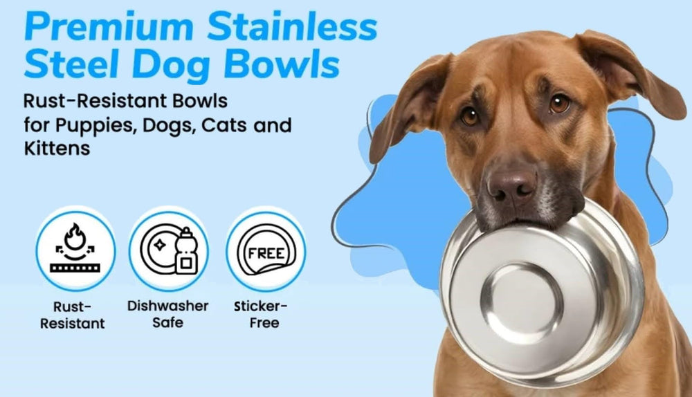 Greendale bowls highlight durable stainless steel for long lasting use.