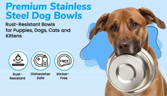 Greendale bowls highlight durable stainless steel for long lasting use.