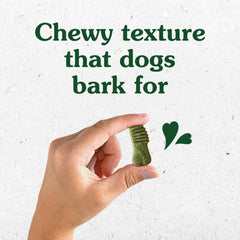 Greenies Anytime Bites chewy texture enhances treat enjoyment