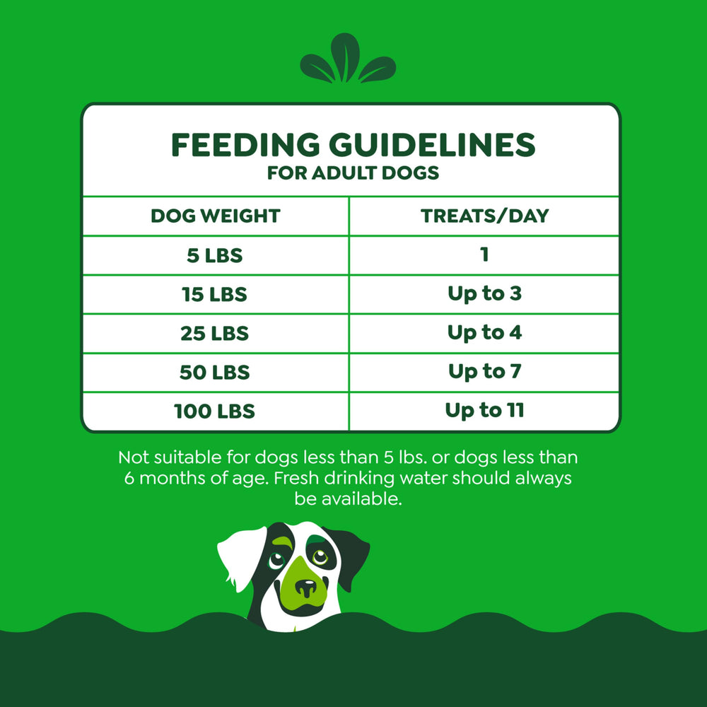 Greenies Anytime Bites training treat highlights quick rewards during training