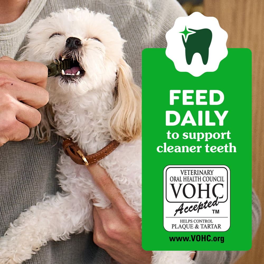 Greenies Dental Puppy Treats Teenie digestible center emphasizes safe chew for growing puppies.