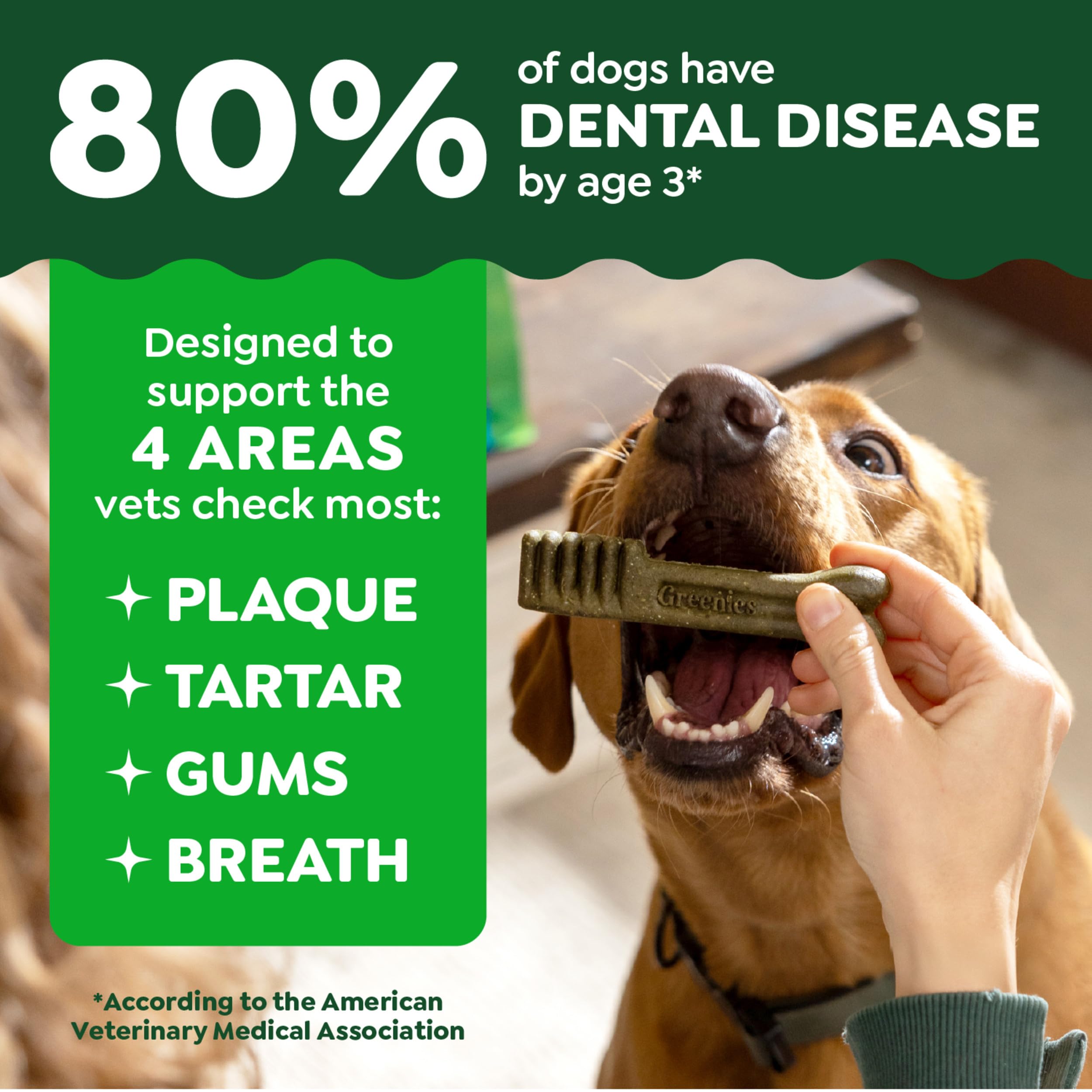 Greenies Dental Puppy Treats Teenie puppy chew demonstrates puppy-friendly bite for easy consumption.
