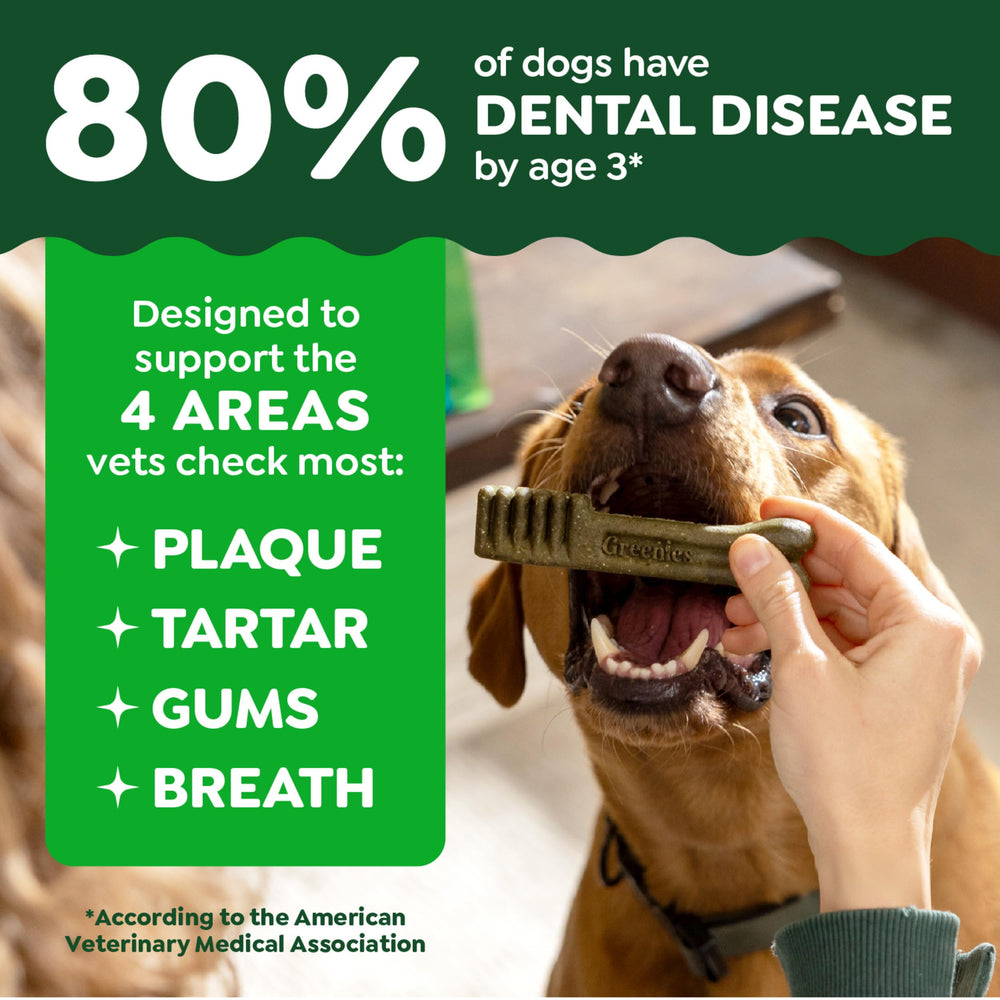 Greenies Dental Puppy Treats Teenie puppy chew demonstrates puppy-friendly bite for easy consumption.