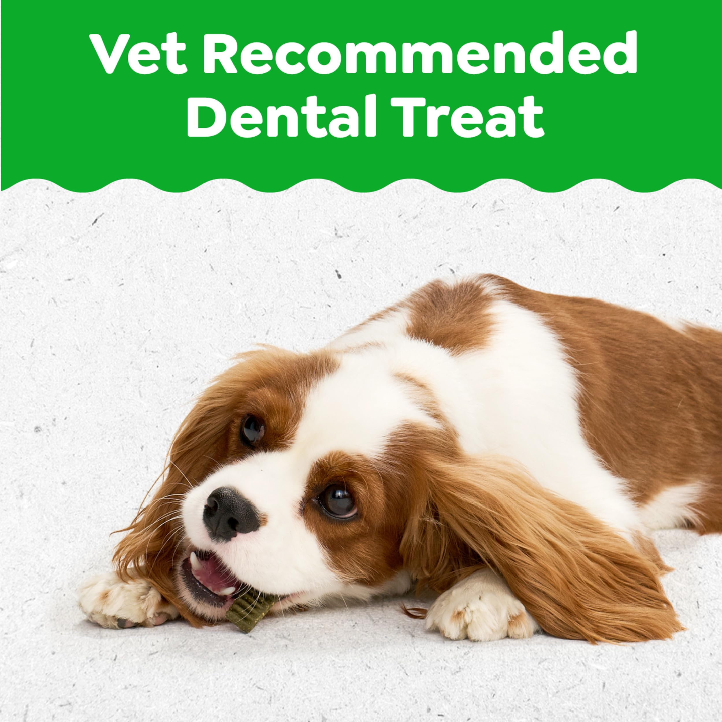 Greenies Dental Puppy Treats Teenie texture closeup highlights the chewy design for gumline cleaning.