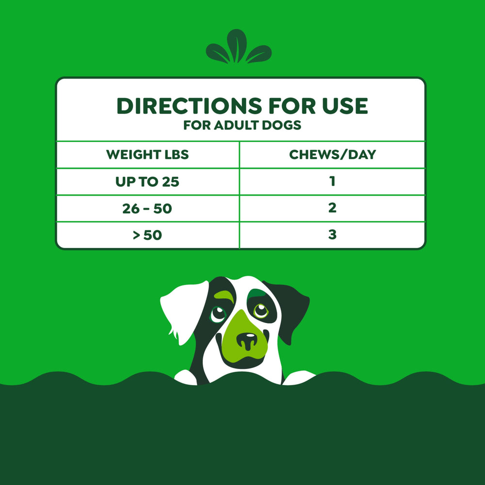 Greenies Digestive Health dog enjoying chew highlights palatable texture.