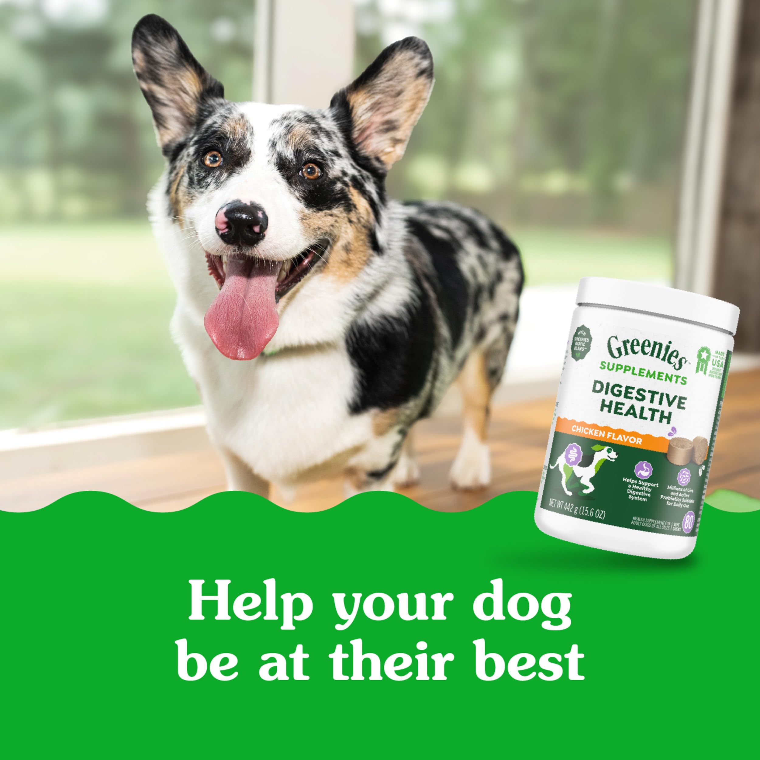Greenies Digestive Health dog feeding bowl scene reinforces daily supplement routine.