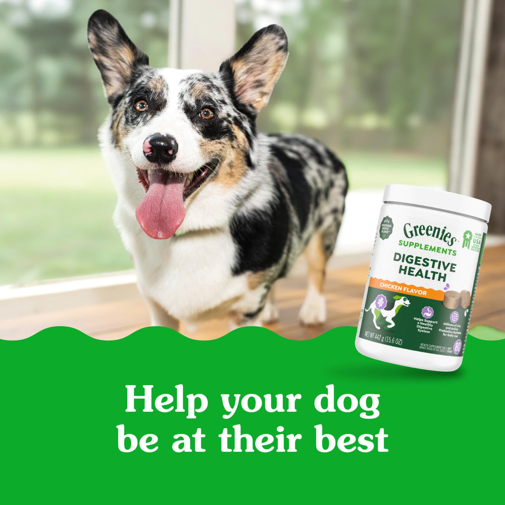 Greenies Digestive Health dog feeding bowl scene reinforces daily supplement routine.