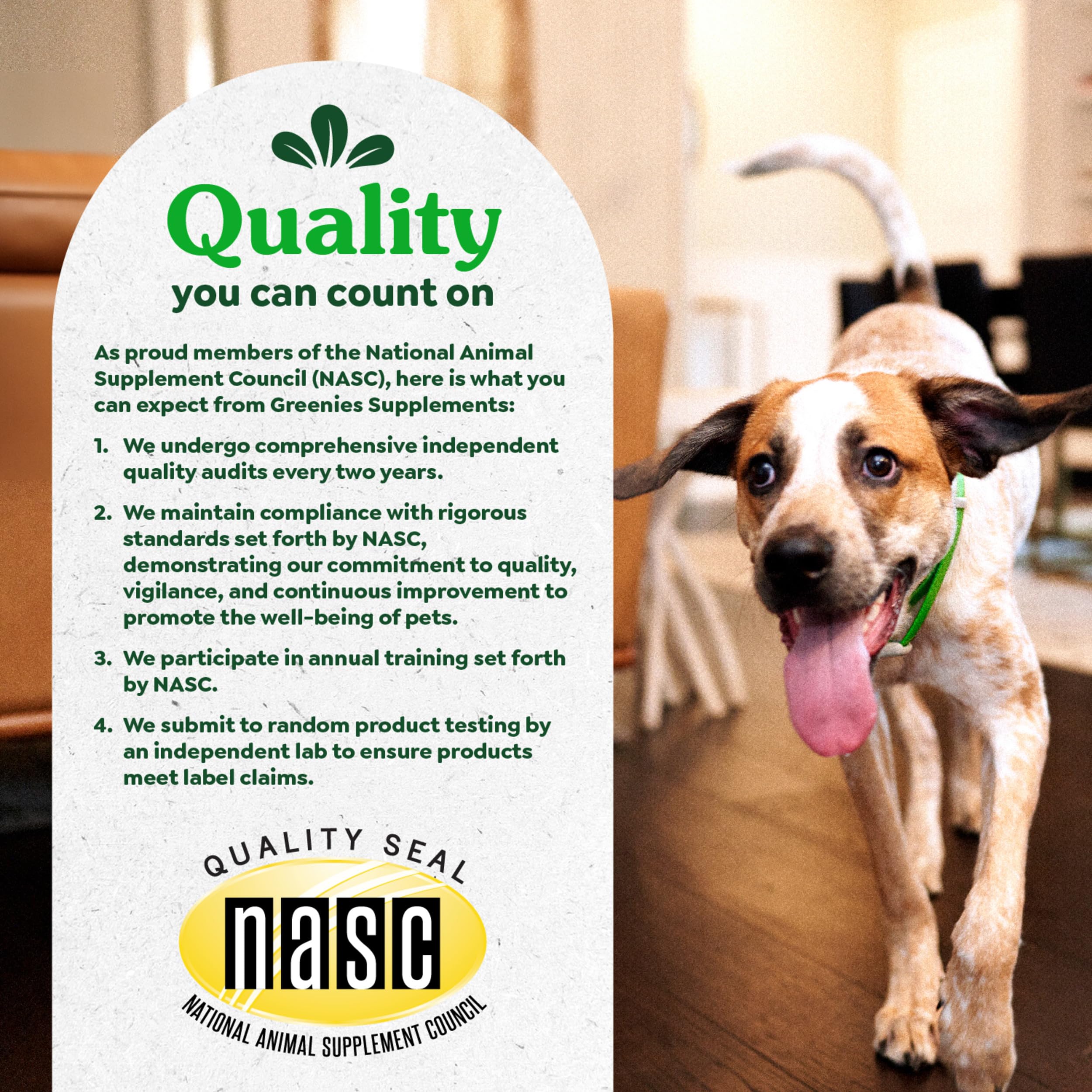 Greenies Digestive Health USA-made label highlights domestic production standards.