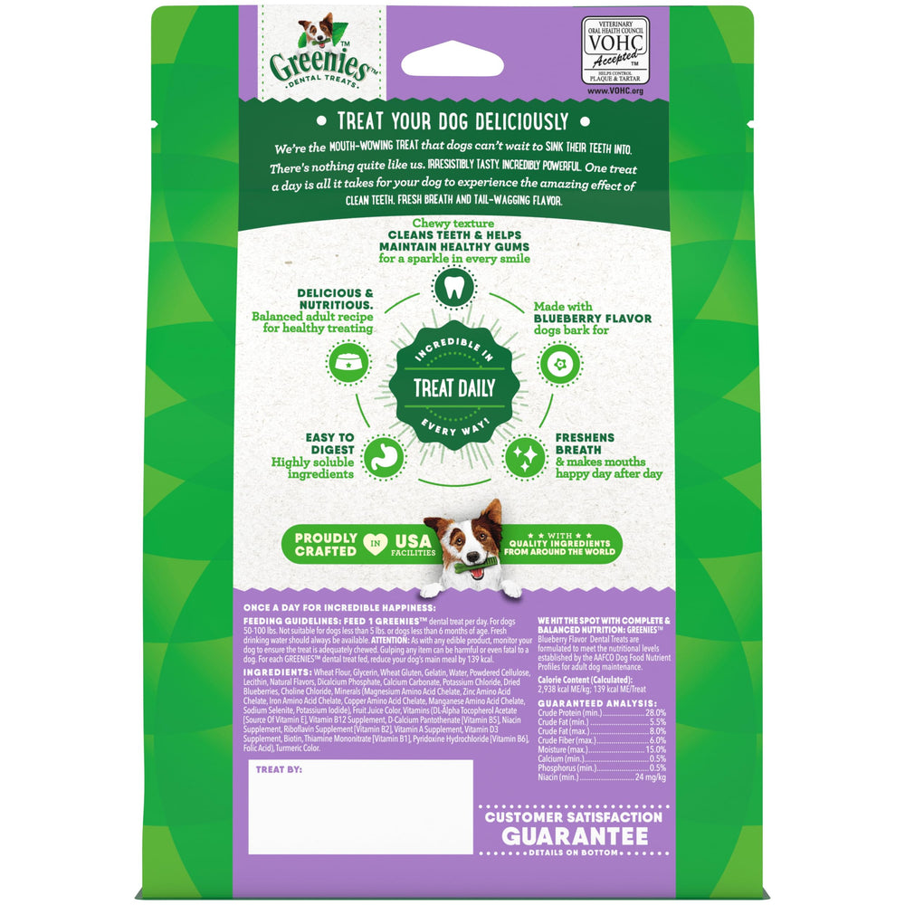 Greenies blueberry flavor image of dog enjoying treat during daily routine