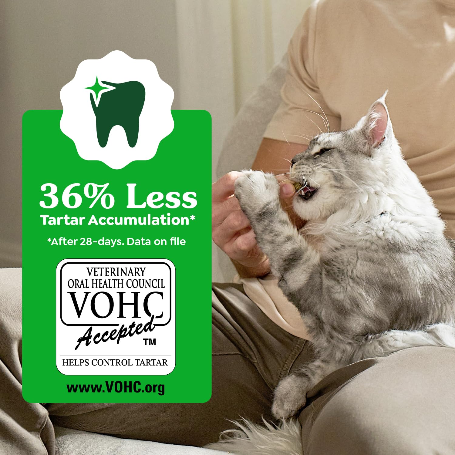 Greenies Feline Dental Treats chicken-flavor snack appeals to picky cats during daily feeding.
