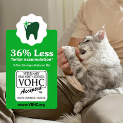 Greenies Feline Dental Treats chicken-flavor snack appeals to picky cats during daily feeding.