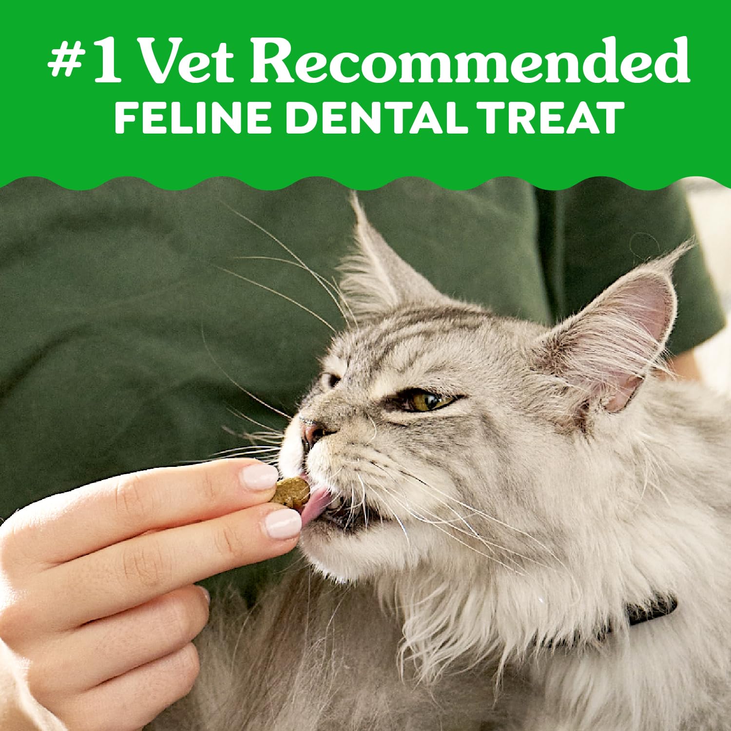 Greenies Feline Dental Treats crunchy-texture close-up suggests a satisfying crunch for tartar control.