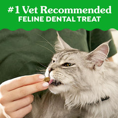Greenies Feline Dental Treats crunchy-texture close-up suggests a satisfying crunch for tartar control.