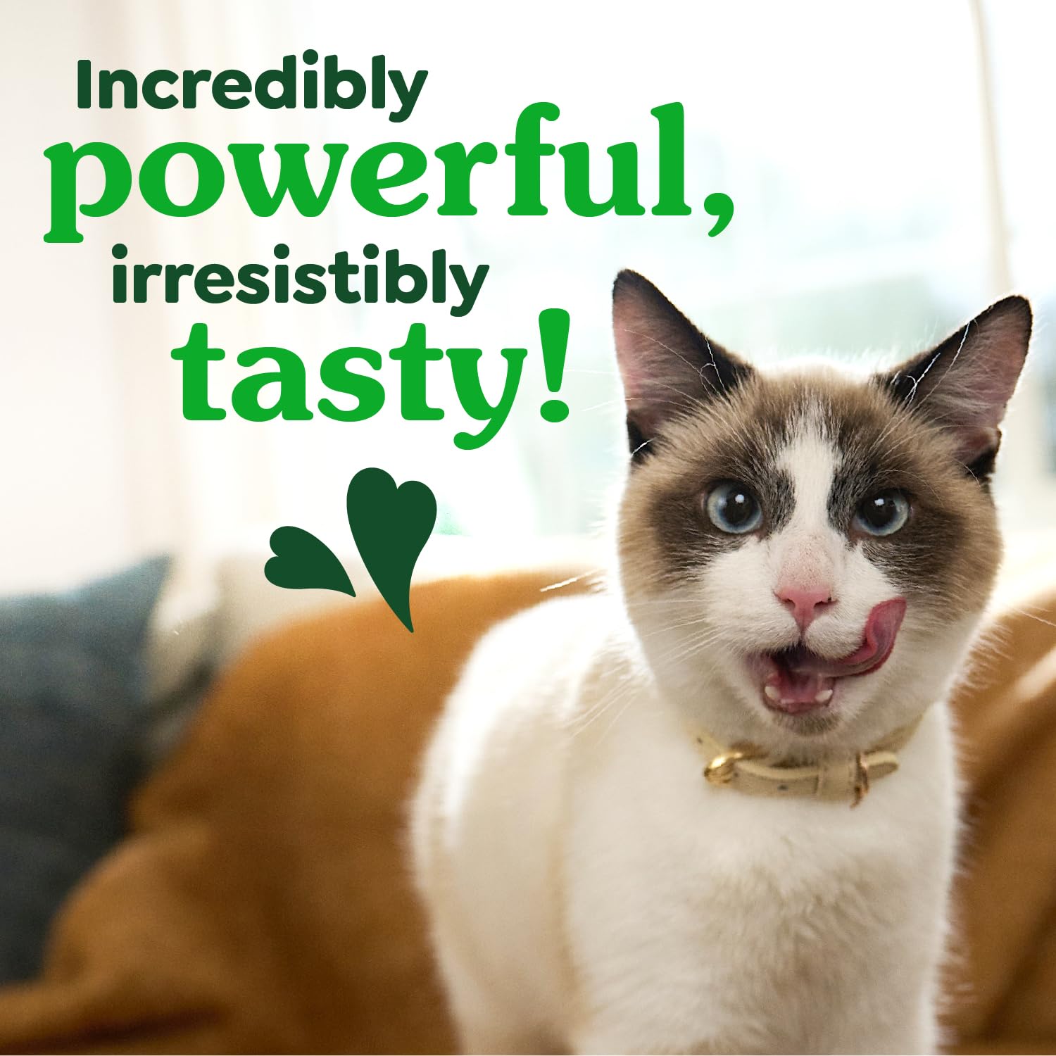 Greenies Feline Dental Treats low-calorie-option close-up highlights under-two-calorie treats per piece.