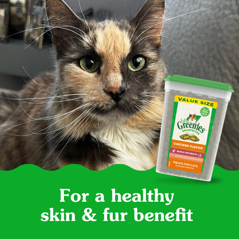 Greenies Feline Smartbites 16-oz tub close-up, ready-to-serve cat treats.