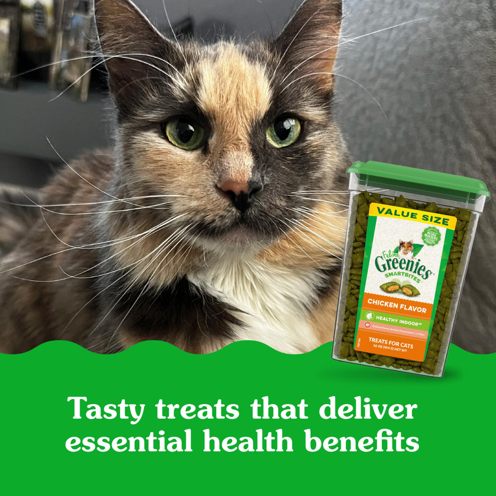 Greenies feline smartbites cat enjoying a lick from a tasty treat