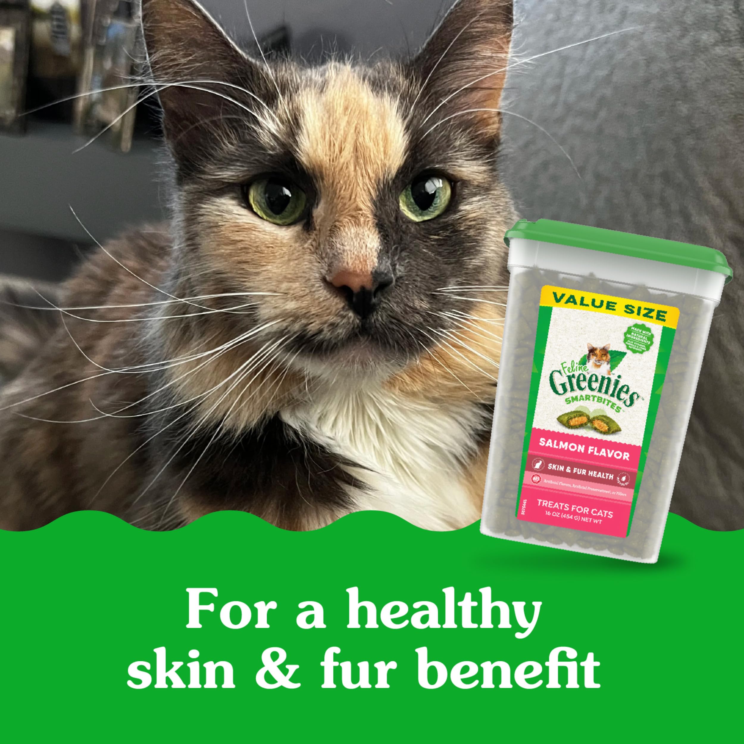 Greenies Feline Smartbites Skin Fur Care Usage highlights coat-friendly benefits.