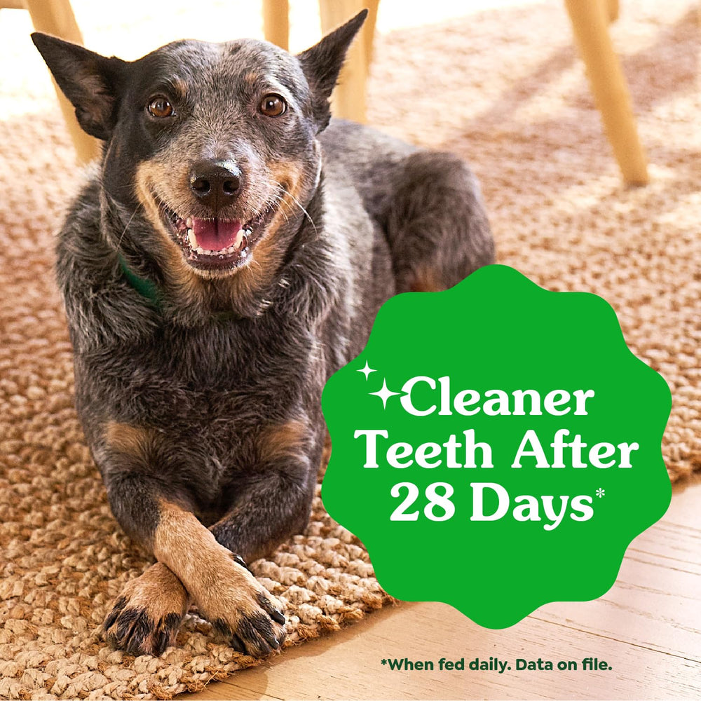 Greenies original dental treats bite-size portions image highlights small-dog friendly chews for 15–25 lb dogs.