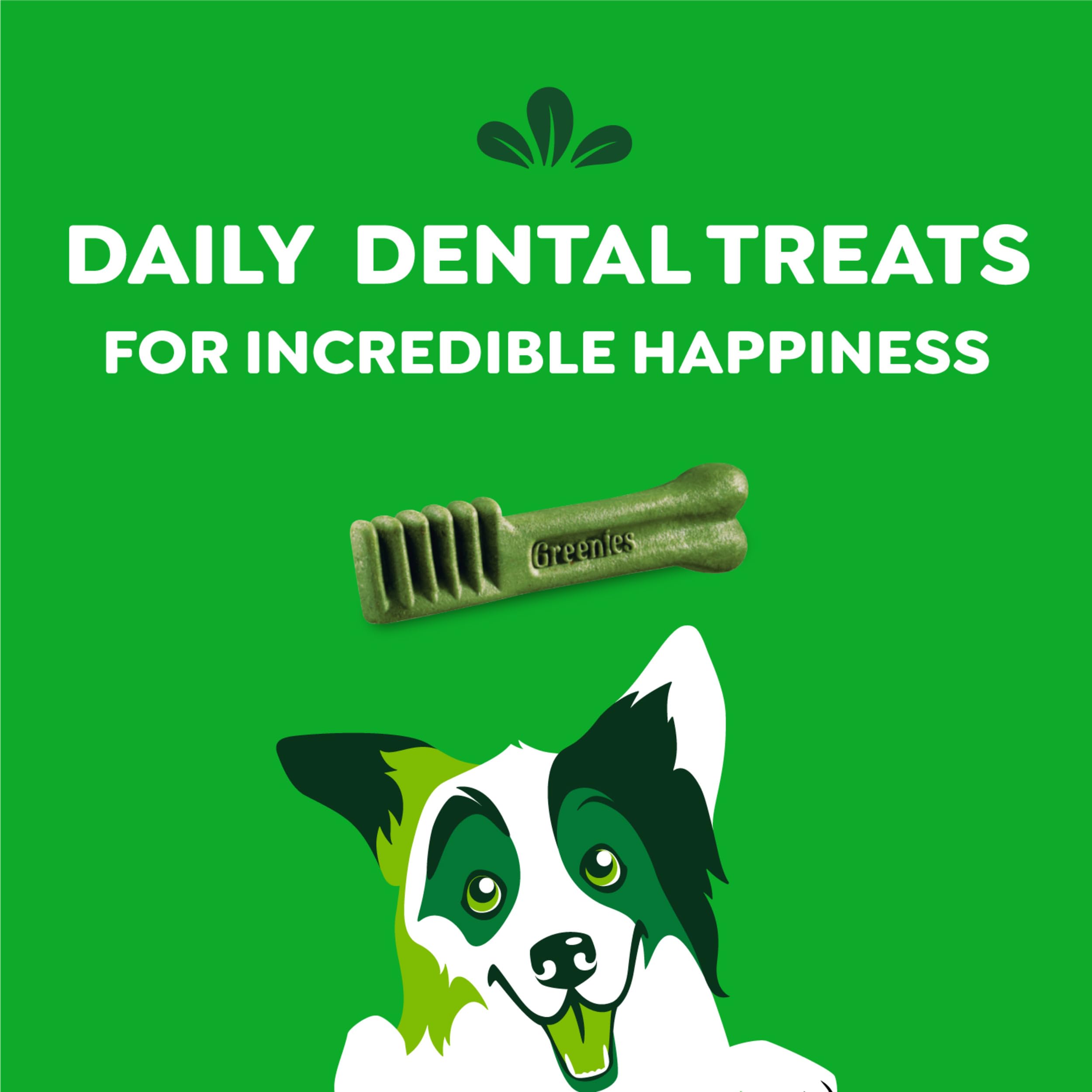 Greenies Original Dental Treats packaging with dog illustrating oral health benefits
