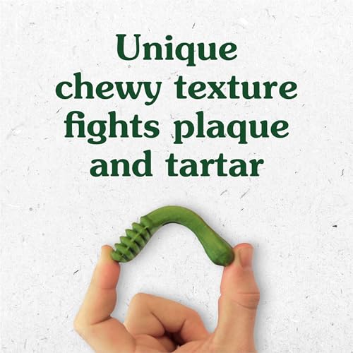 Greenies Original Dental Treats pack side view emphasizing VOHC-supported dental care