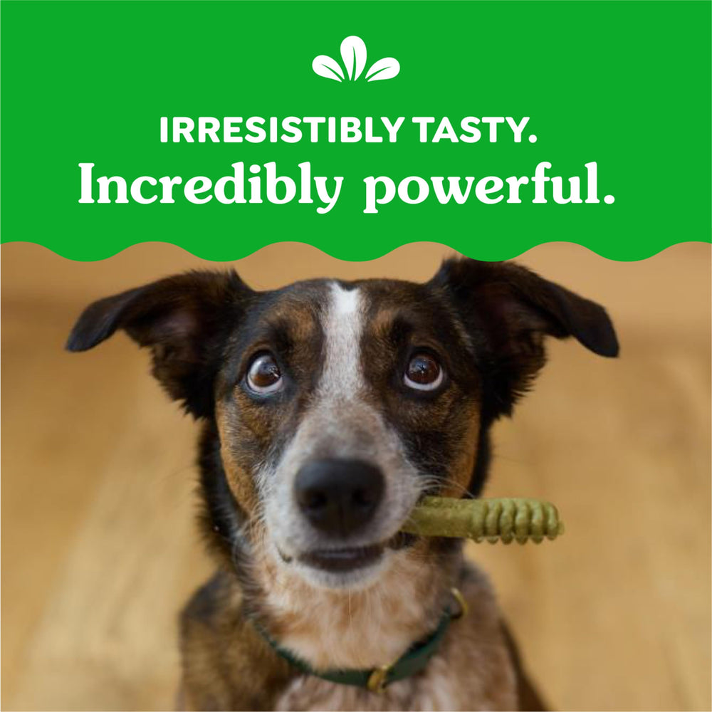 Greenies Original Dental Treats USA facility label close-up