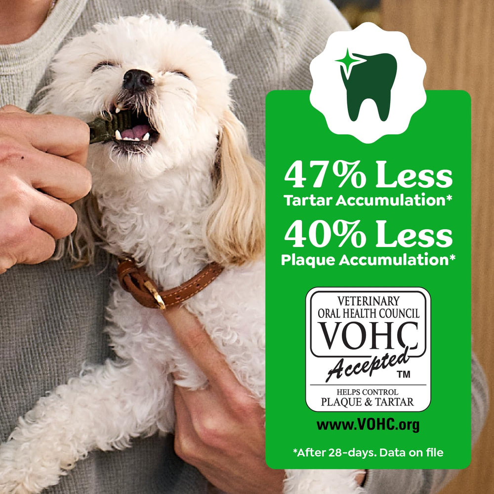 Greenies original dental treats 60-count pack displays value for daily dental routines.