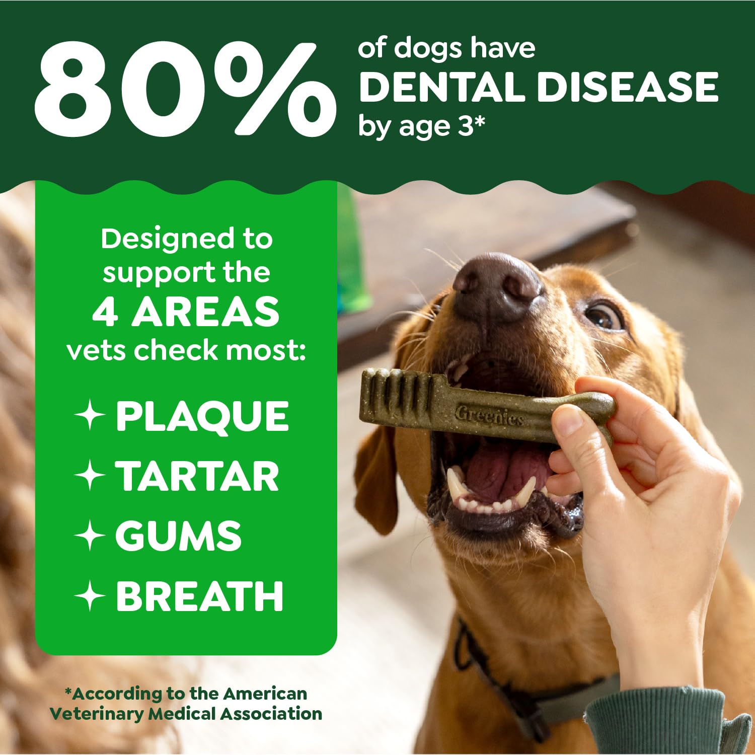 Greenies original dental treats chew texture closeup illustrates design to clean gums in petite dogs.