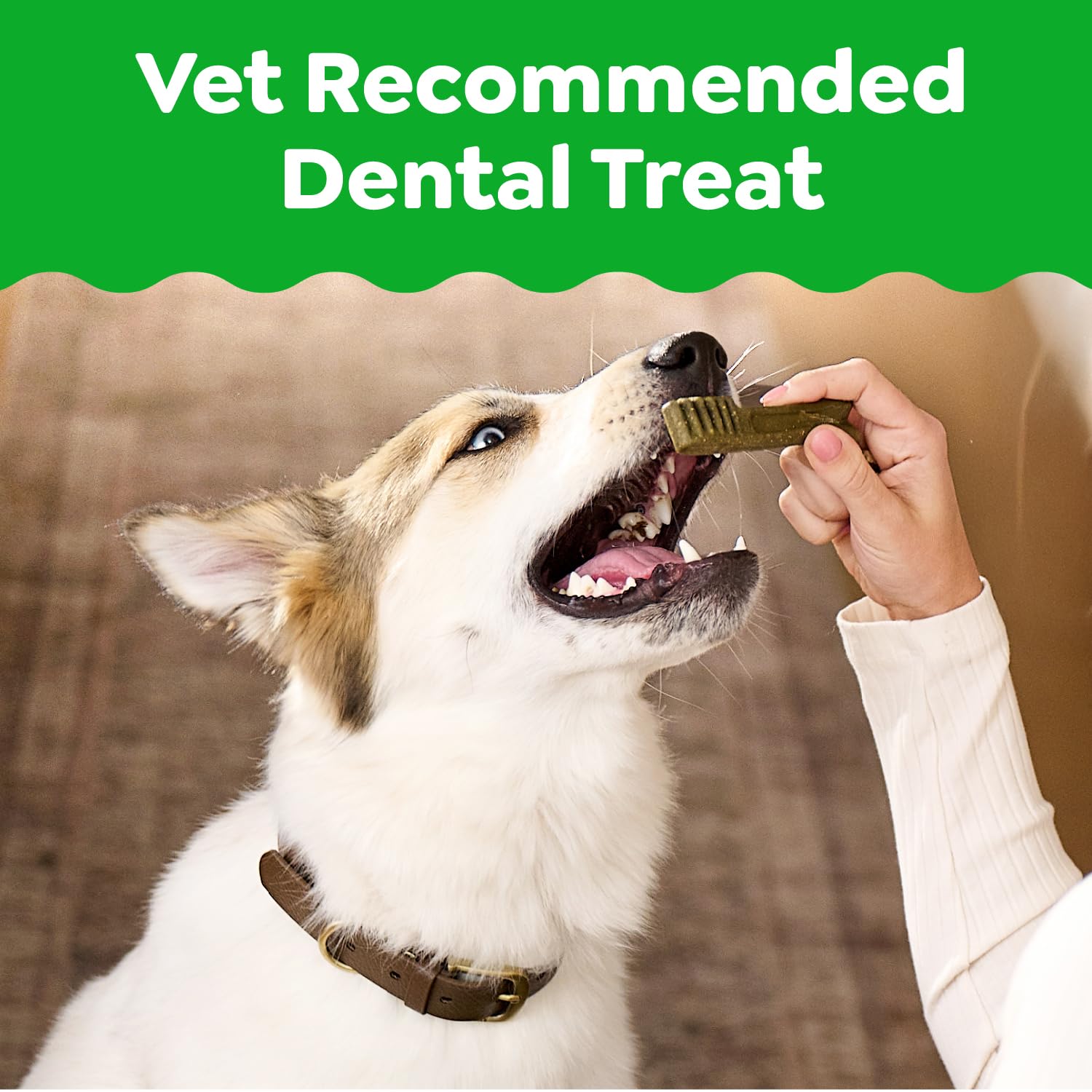Greenies original dental treats chews closeup shows chew texture suitable for daily dental care.