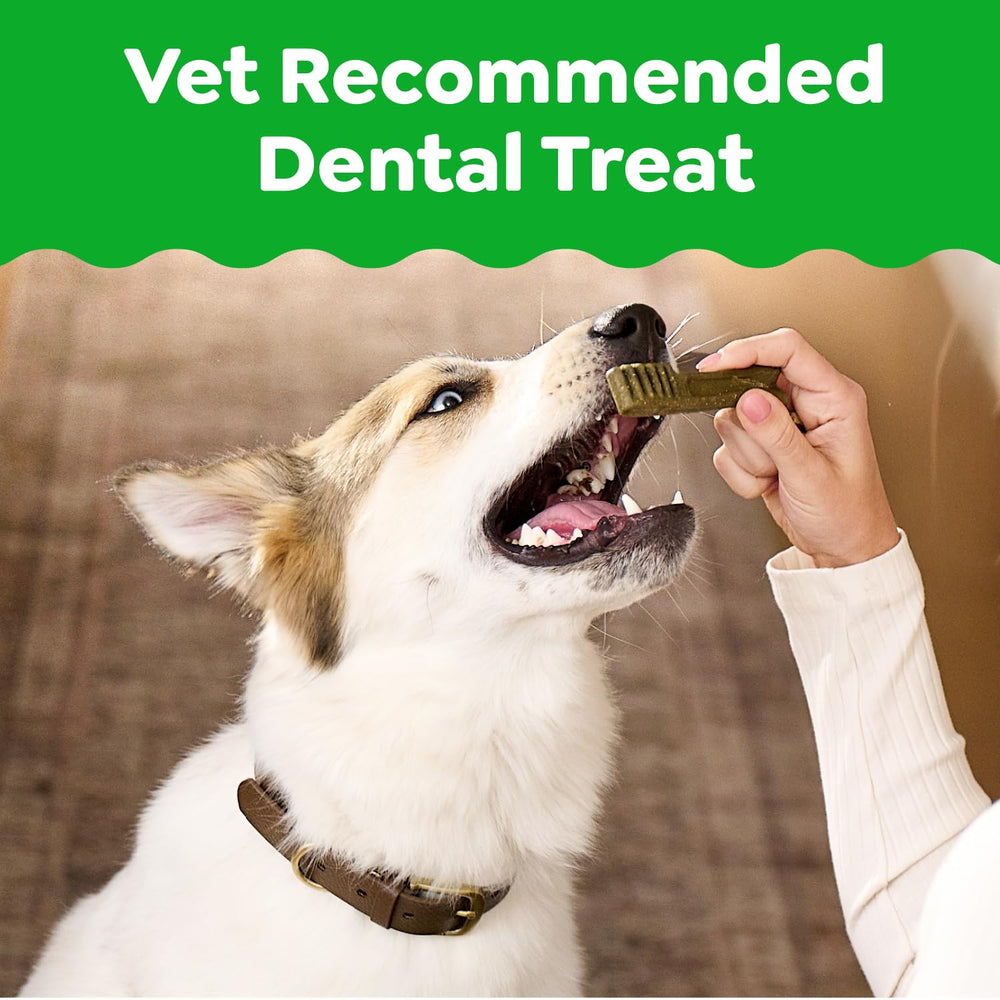 Greenies original dental treats chews closeup shows chew texture suitable for daily dental care.