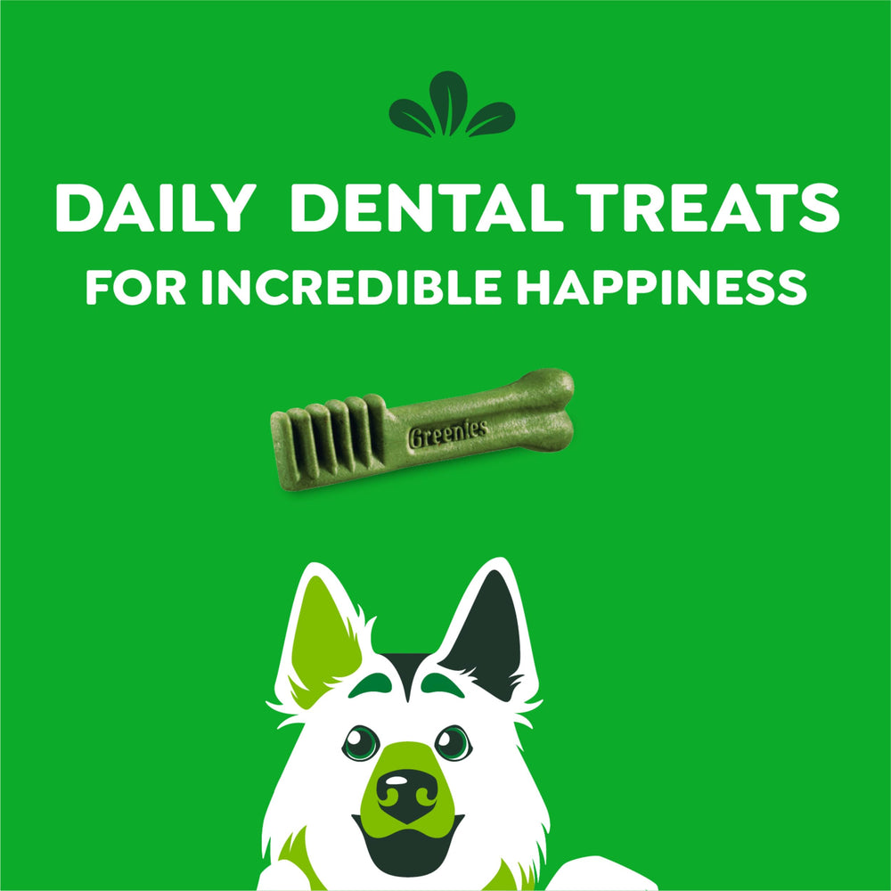 Greenies Original Large Dental Treats large-dog feeding-time scene highlighting satisfying texture