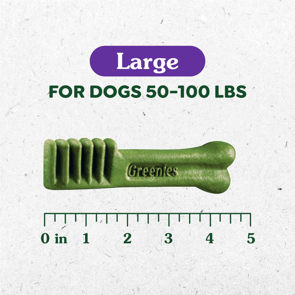 Greenies Original Large Dental Treats serving-time-action shows dog enjoying treat for fresh breath