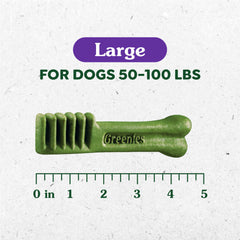 Greenies Original Large Dental Treats serving-time-action shows dog enjoying treat for fresh breath