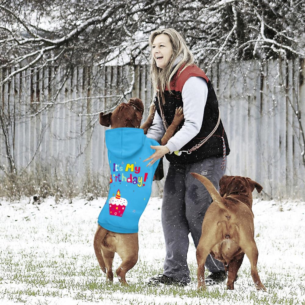 GreenJoy pet outerwear daily-wear ready for indoor and outdoor use.